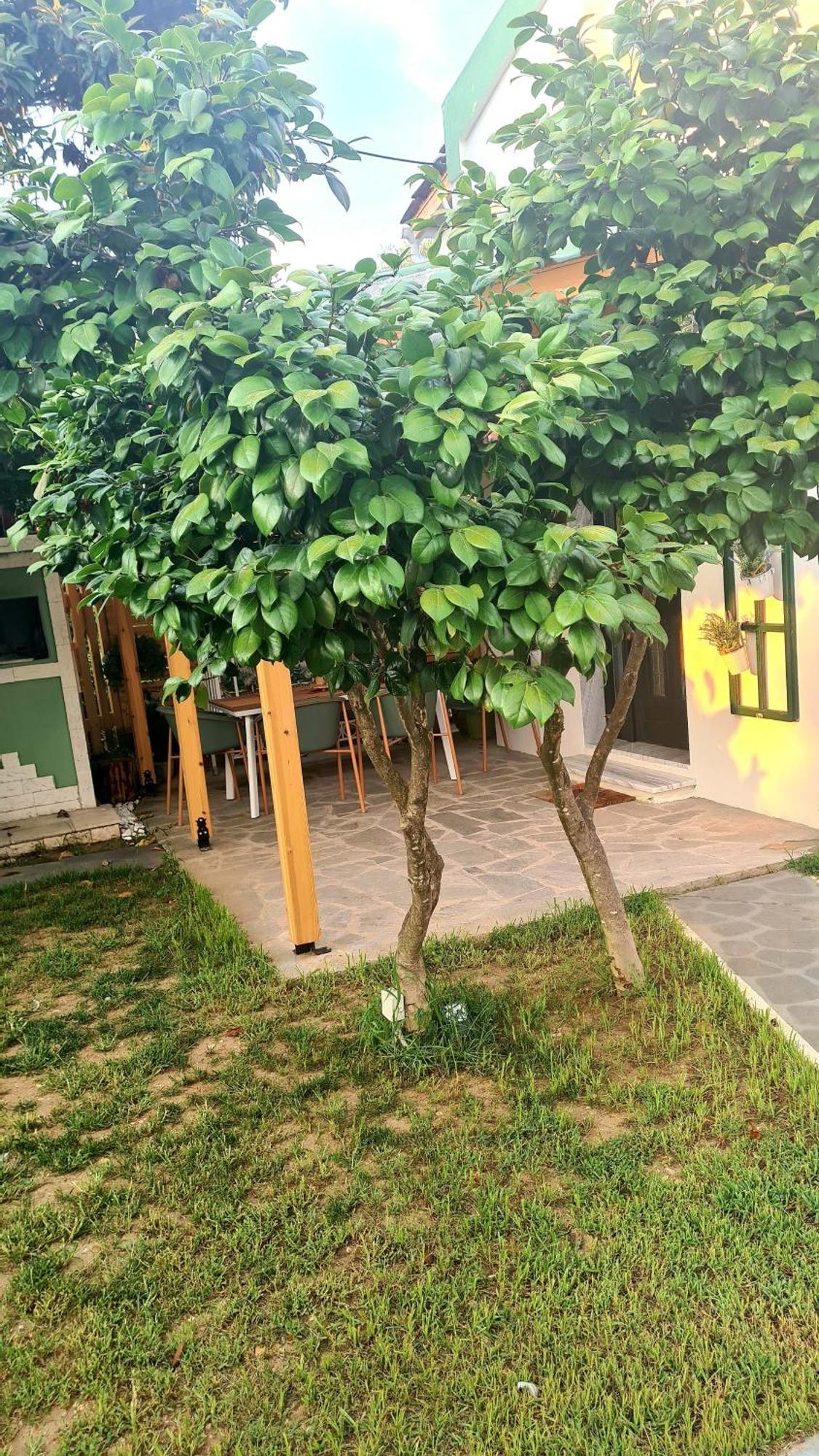 Lamprini'S Deluxe Studios Тасос Экстерьер фото